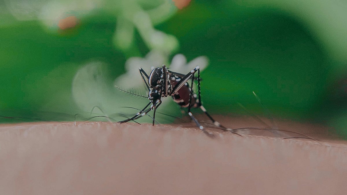 കൊതുകുനാശിനികളുടെ പ്രവര്‍ത്തനം എങ്ങനെ? ഇവ കൊതുകളെ അകറ്റുന്നതെങ്ങനെ? 